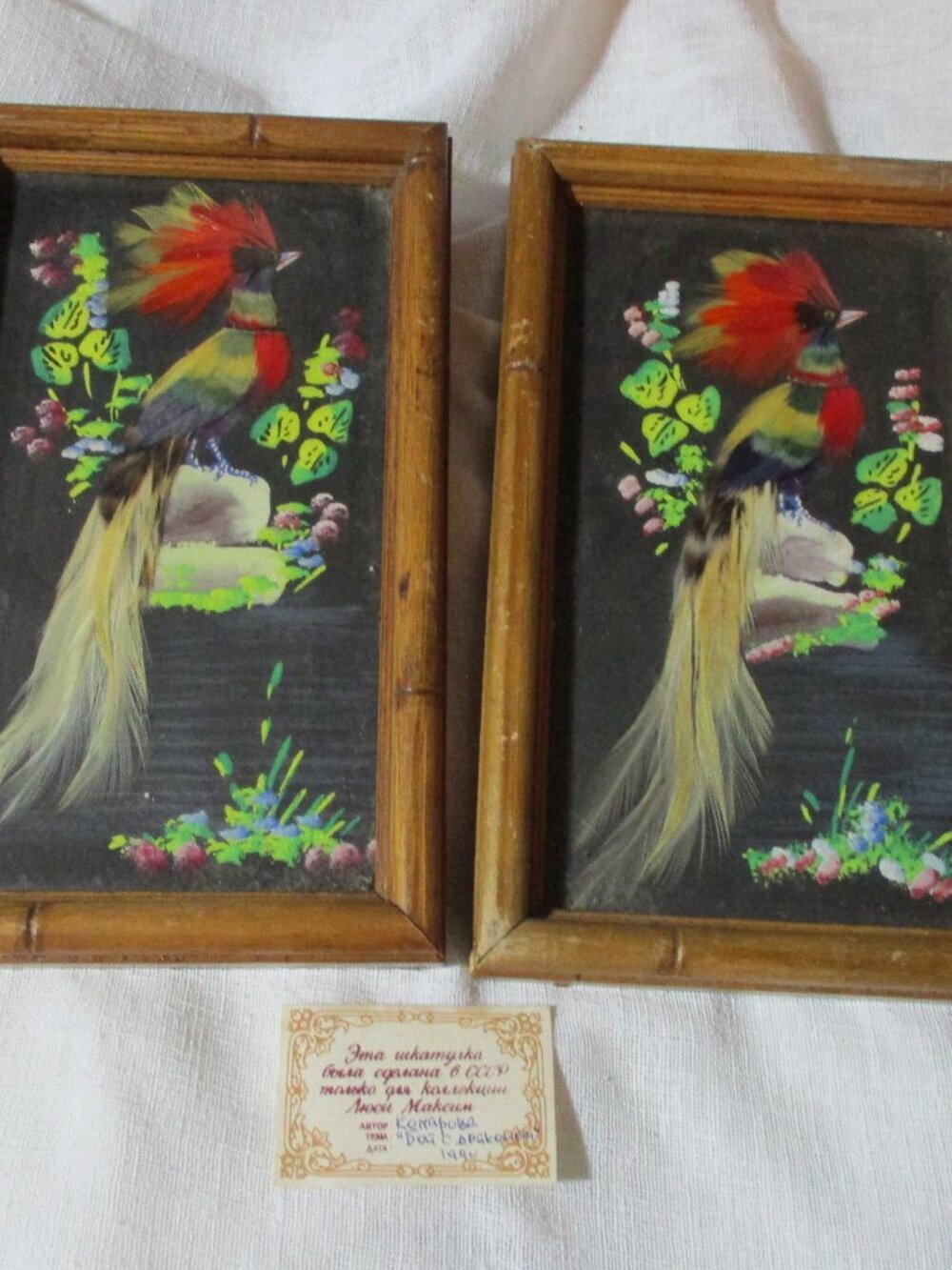 Set 2 REAL FRAMED DISPLAY FEATHER BIRD Handmade RARE Mount Vintage